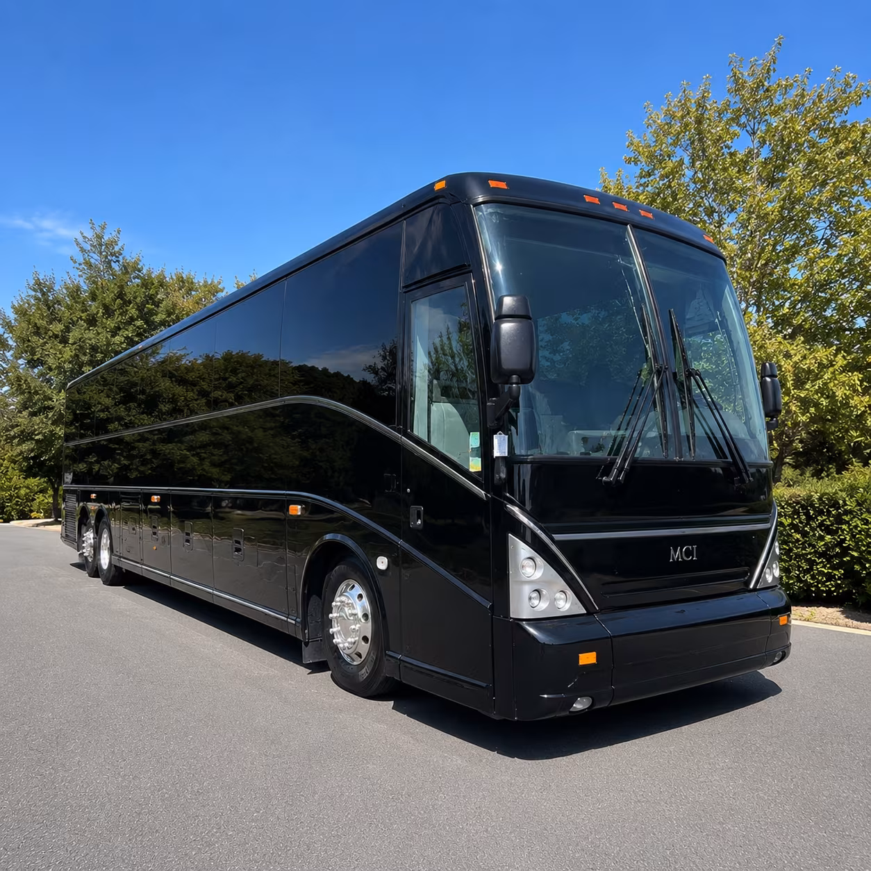 sanmateocoachbuscompany com helps you find field trip buses for ano nuevo and beyond